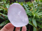 Polished Rose Quartz Standing Free Forms x 4 Madagascar - Toprock Gemstones and Minerals 