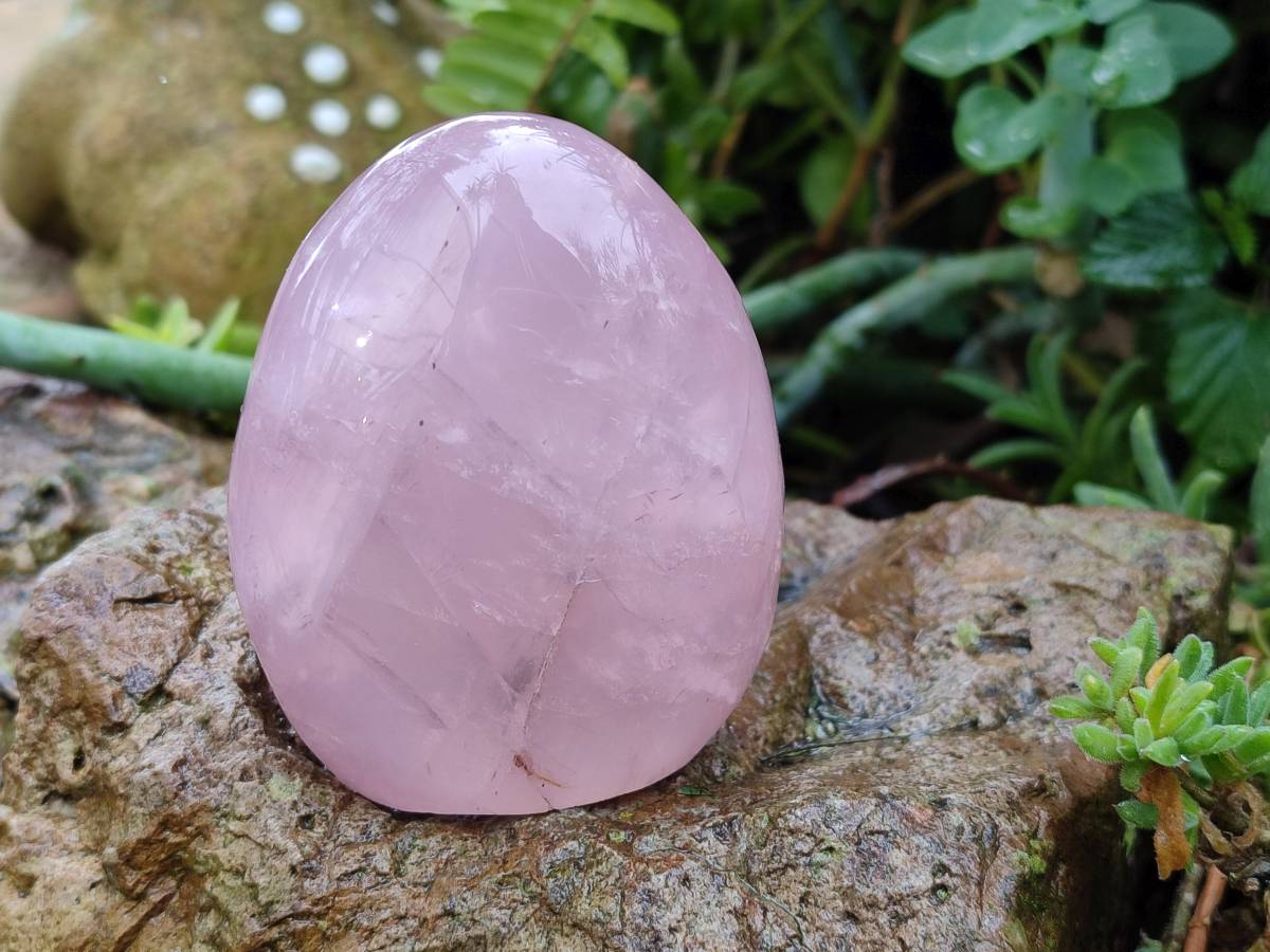 Polished Rose Quartz Standing Free Forms x 4 Madagascar - Toprock Gemstones and Minerals 