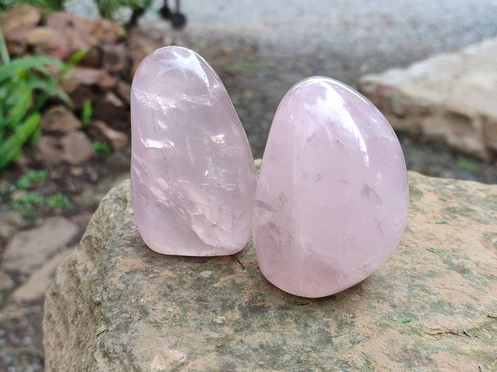 Polished Rose Quartz Standing Free Forms x 4 Madagascar - Toprock Gemstones and Minerals 