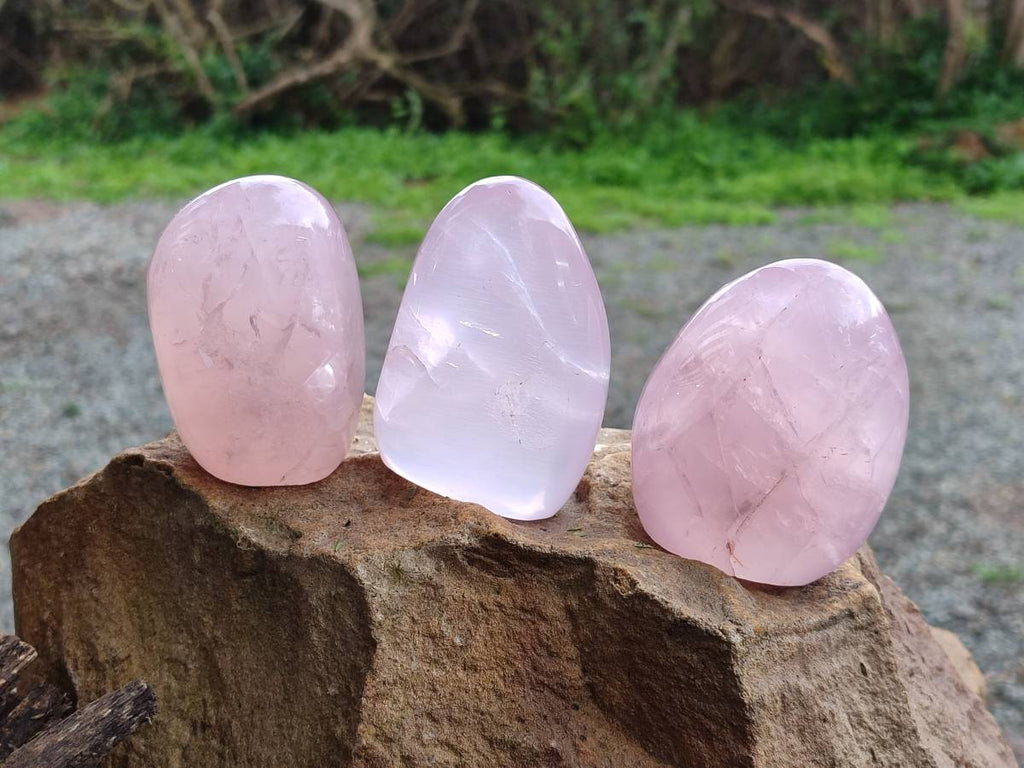 Polished Rose Quartz Standing Free Forms x 4 Madagascar - Toprock Gemstones and Minerals 