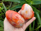 Polished Carnelian Agate Standing Free Forms x 5 From Madagascar - Toprock Gemstones and Minerals 