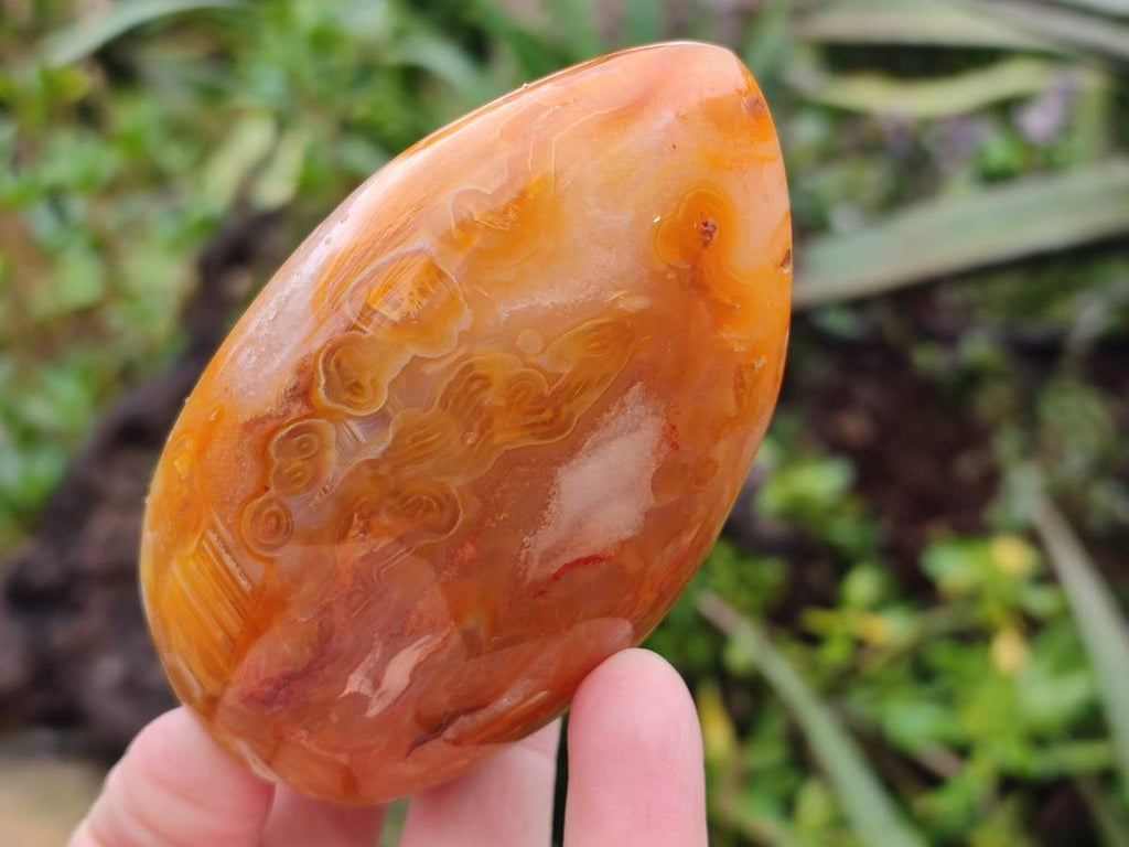 Polished Carnelian Agate Standing Free Forms x 5 From Madagascar - Toprock Gemstones and Minerals 