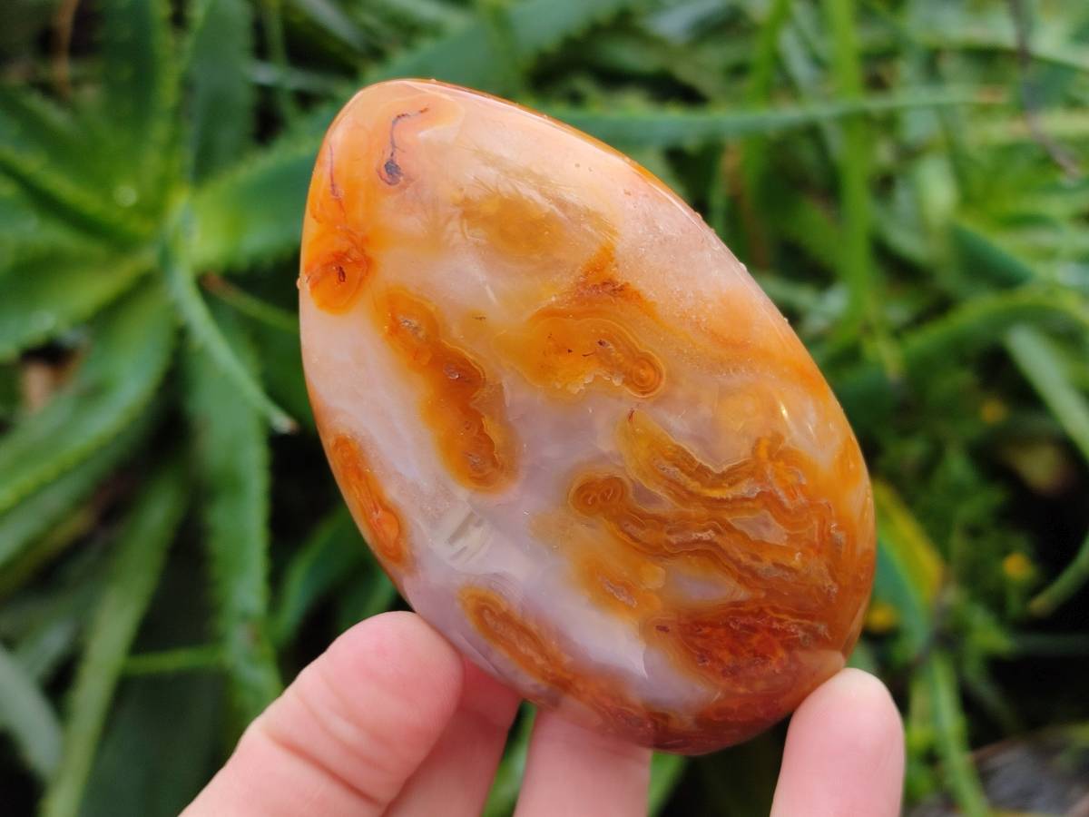 Polished Carnelian Agate Standing Free Forms x 5 From Madagascar - Toprock Gemstones and Minerals 