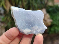 Natural Blue Lace Agate Geode Specimens x 20 From Nsanje, Malawi