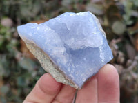 Natural Blue Lace Agate Geode Specimens x 20 From Nsanje, Malawi