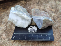 Natural Blue Lace Agate Geode Specimens x 20 From Nsanje, Malawi