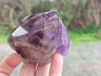 Polished Window Amethyst Quartz Crystals x 3 From Akansobe, Madagascar - Toprock Gemstones and Minerals 