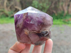 Polished Window Amethyst Quartz Crystals x 3 From Akansobe, Madagascar - Toprock Gemstones and Minerals 