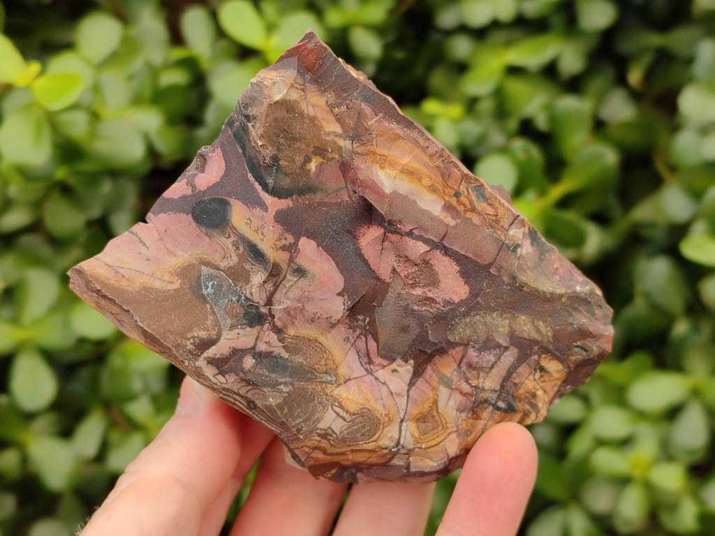 Natural Selected Nguni Jasper Cobbed Specimens x 12 From Prieska, South Africa - Toprock Gemstones and Minerals 