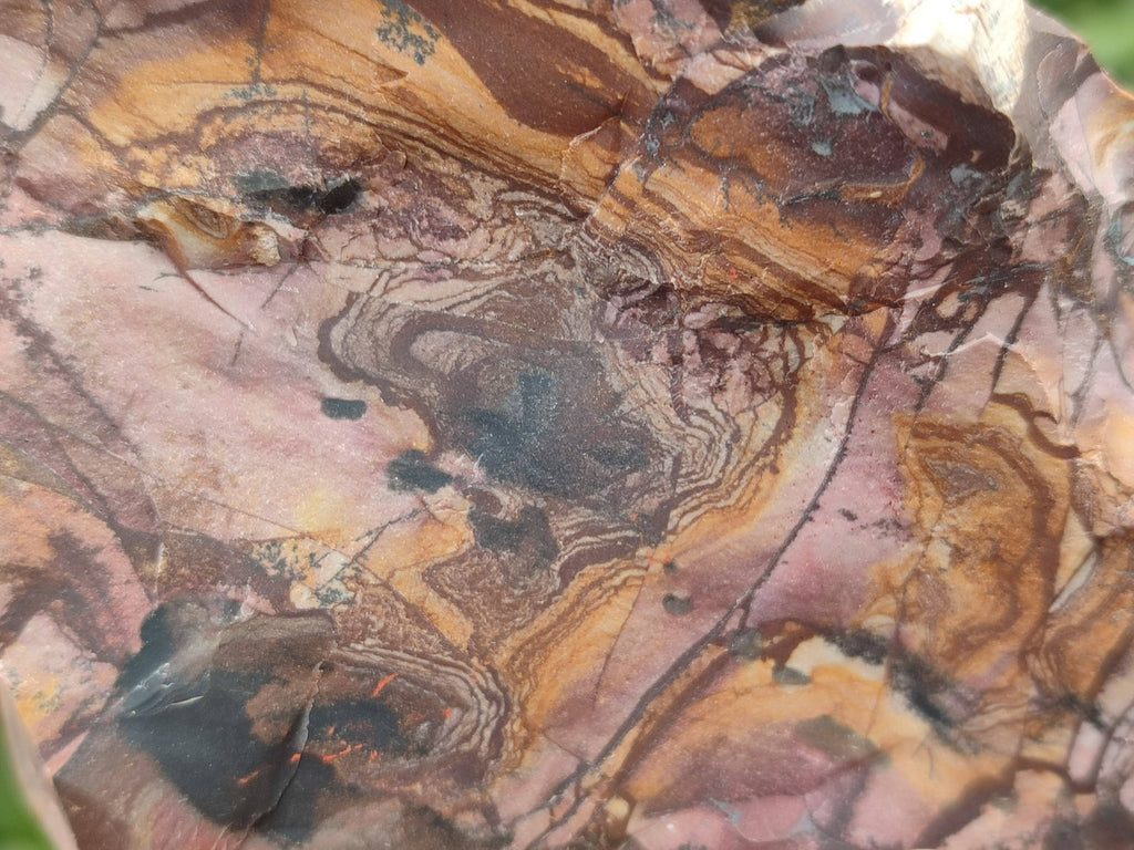 Natural Selected Nguni Jasper Cobbed Specimens x 12 From Prieska, South Africa - Toprock Gemstones and Minerals 