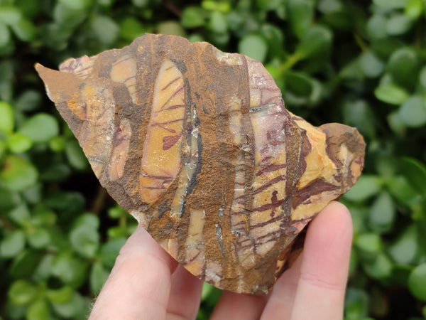 Natural Selected Nguni Jasper Cobbed Specimens x 12 From Prieska, South Africa