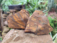 Natural Selected Nguni Jasper Cobbed Specimens x 12 From Prieska, South Africa