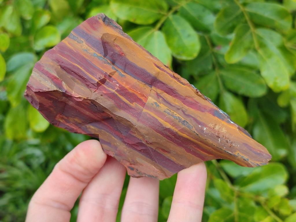 Natural Selected Nguni Jasper Cobbed Specimens x 12 From Prieska, South Africa - Toprock Gemstones and Minerals 