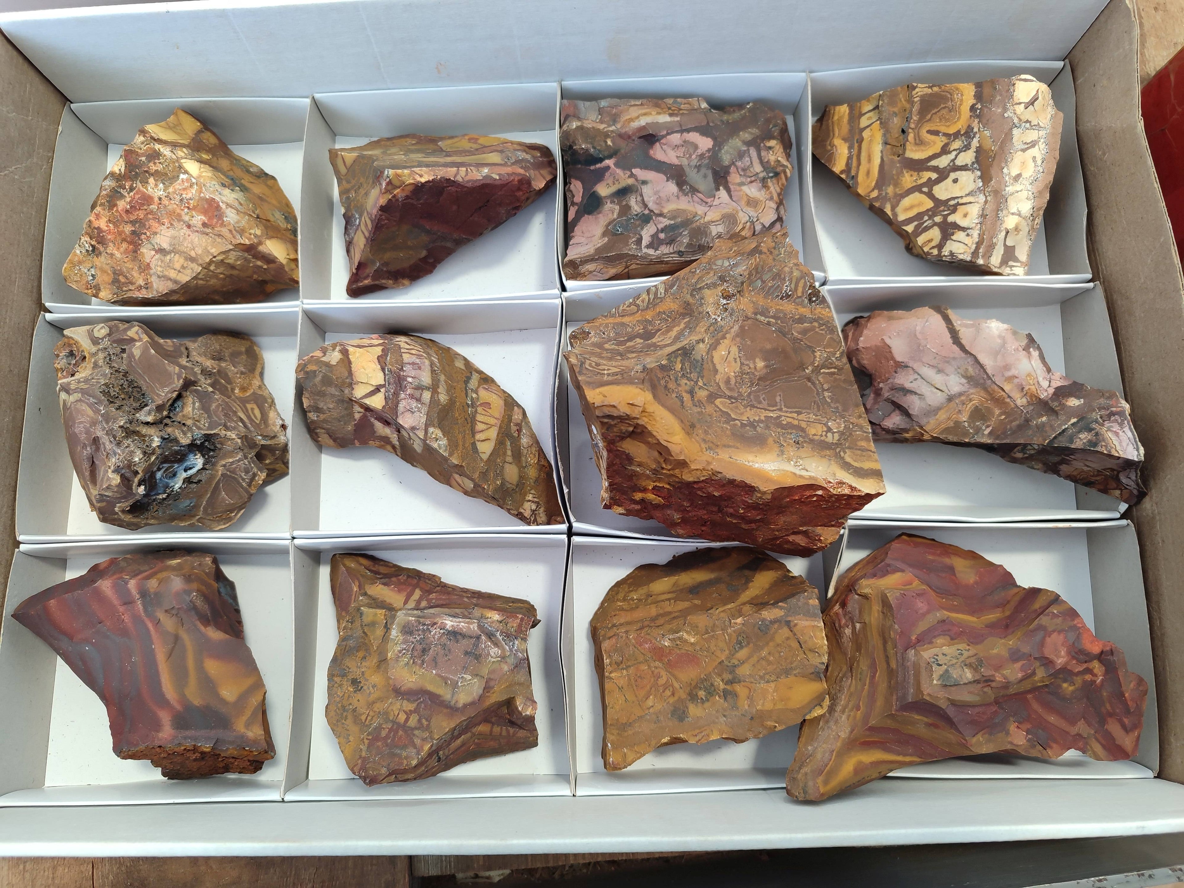 Natural Selected Nguni Jasper Cobbed Specimens x 12 From Prieska, South Africa - Toprock Gemstones and Minerals 