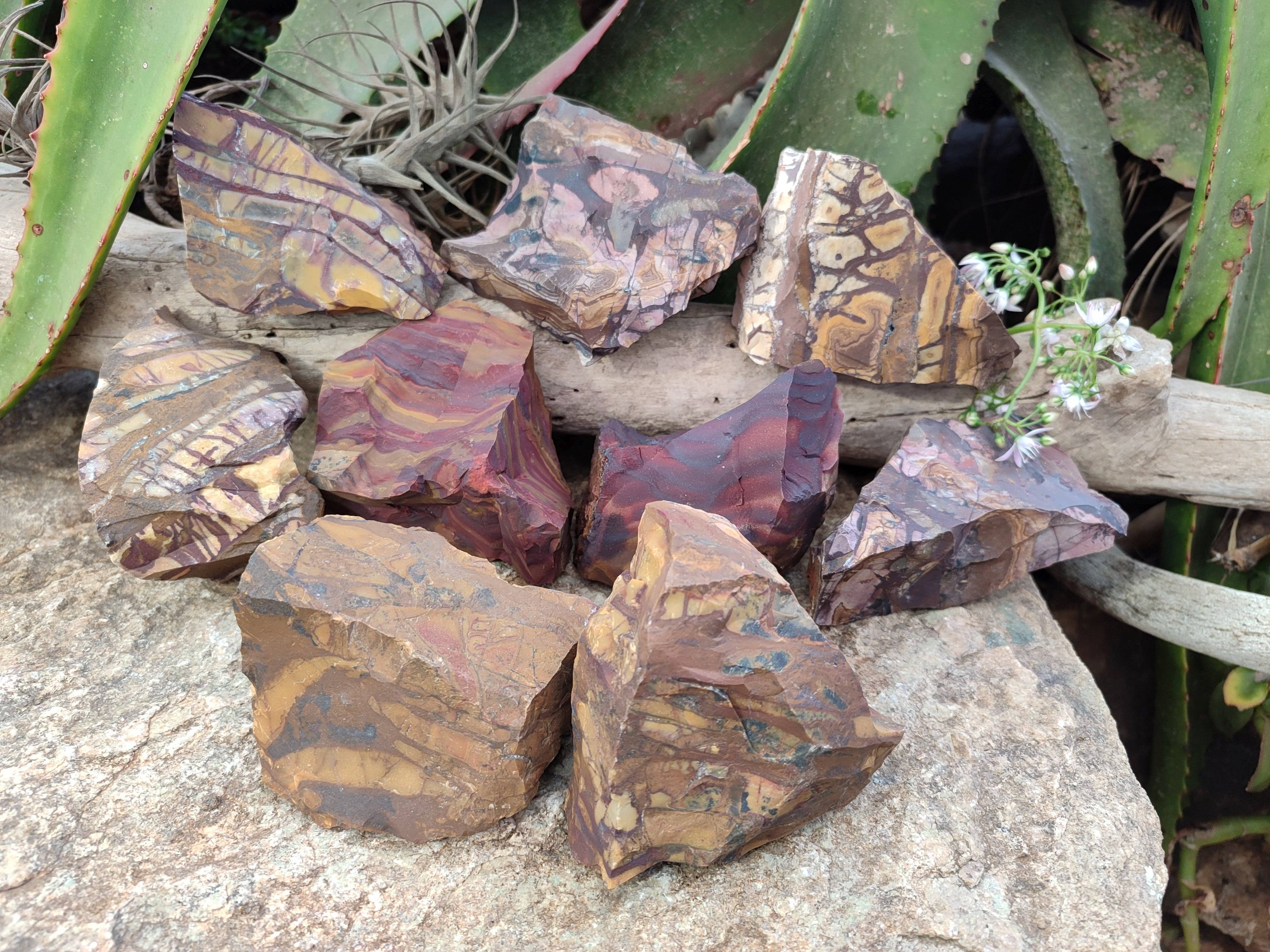 Natural Selected Nguni Jasper Cobbed Specimens x 12 From Prieska, South Africa - Toprock Gemstones and Minerals 