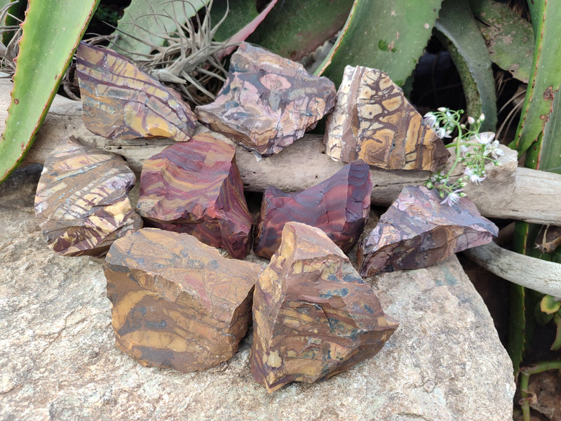 files/169239_3.jpg