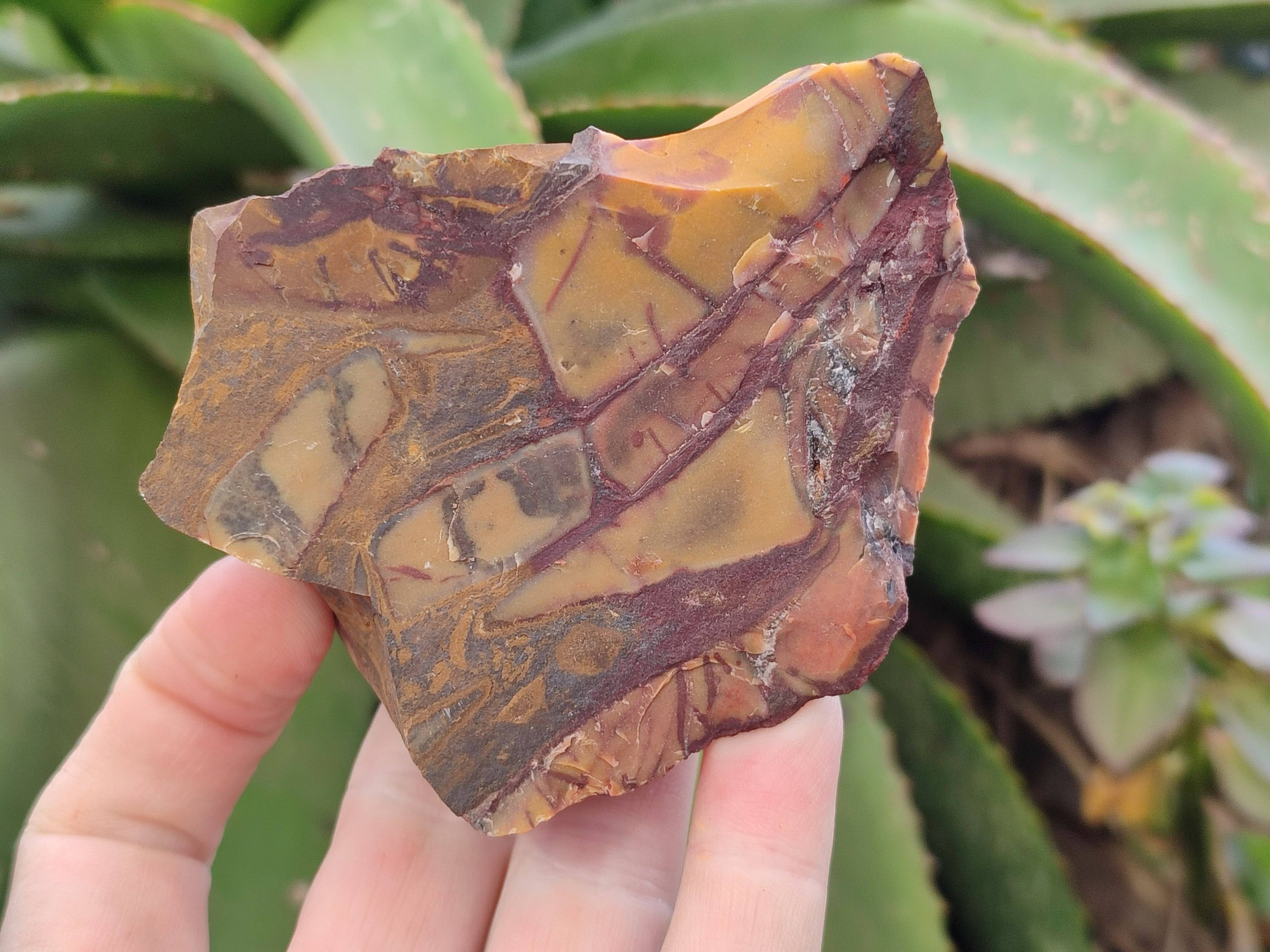 Natural Selected Nguni Jasper Cobbed Specimens x 12 From Prieska, South Africa - Toprock Gemstones and Minerals 