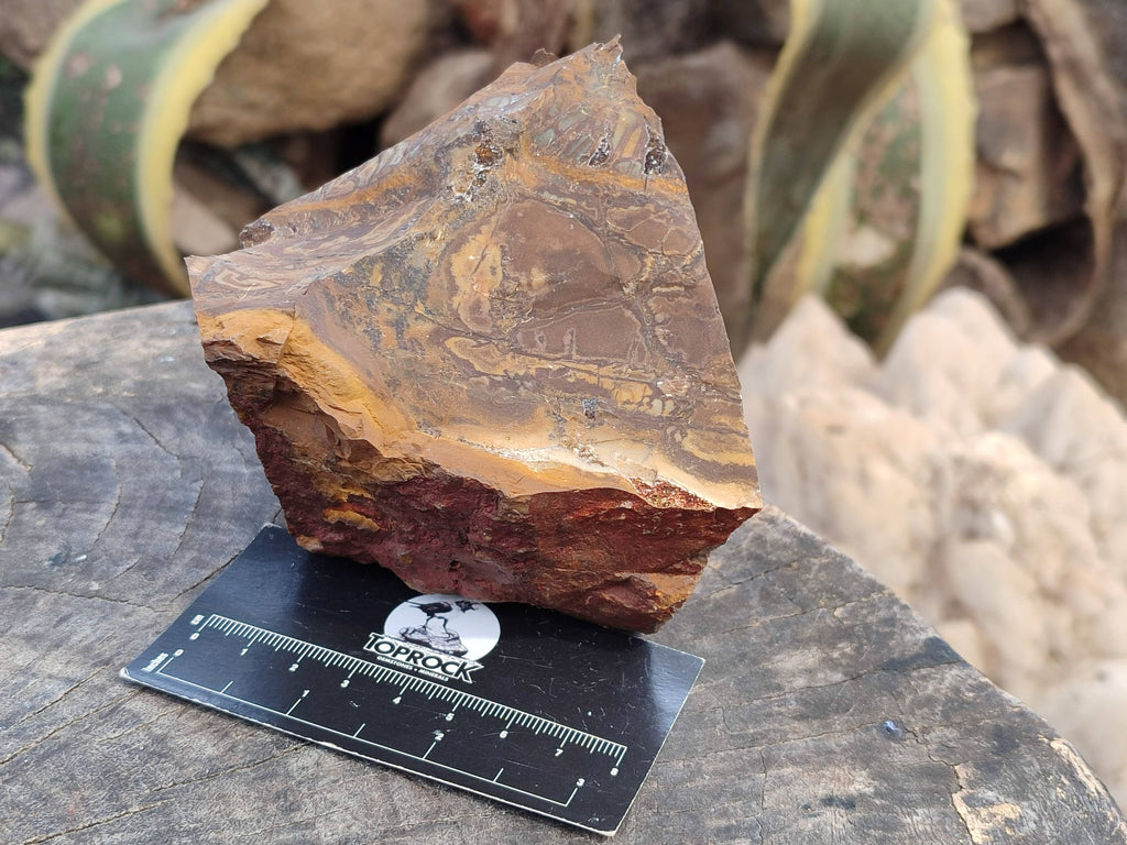 Natural Selected Nguni Jasper Cobbed Specimens x 12 From Prieska, South Africa - Toprock Gemstones and Minerals 