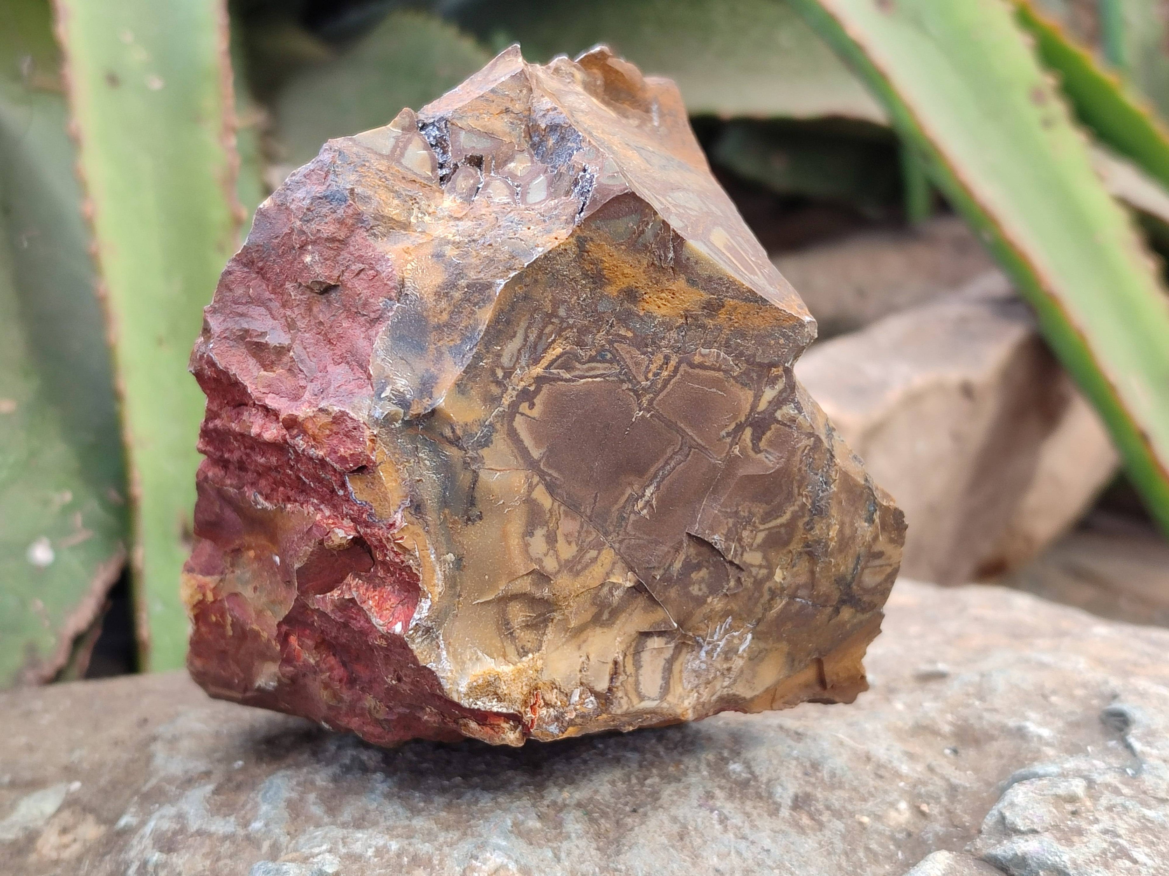 Natural Selected Nguni Jasper Cobbed Specimens x 12 From Prieska, South Africa - Toprock Gemstones and Minerals 