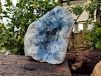 Natura Celestite Geode Specimen x 1 From Sakoany, Madagascar - Toprock Gemstones and Minerals 