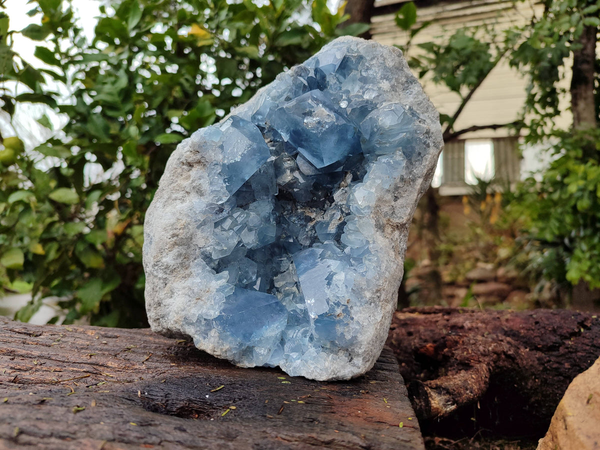 Natura Celestite Geode Specimen x 1 From Sakoany, Madagascar - Toprock Gemstones and Minerals 