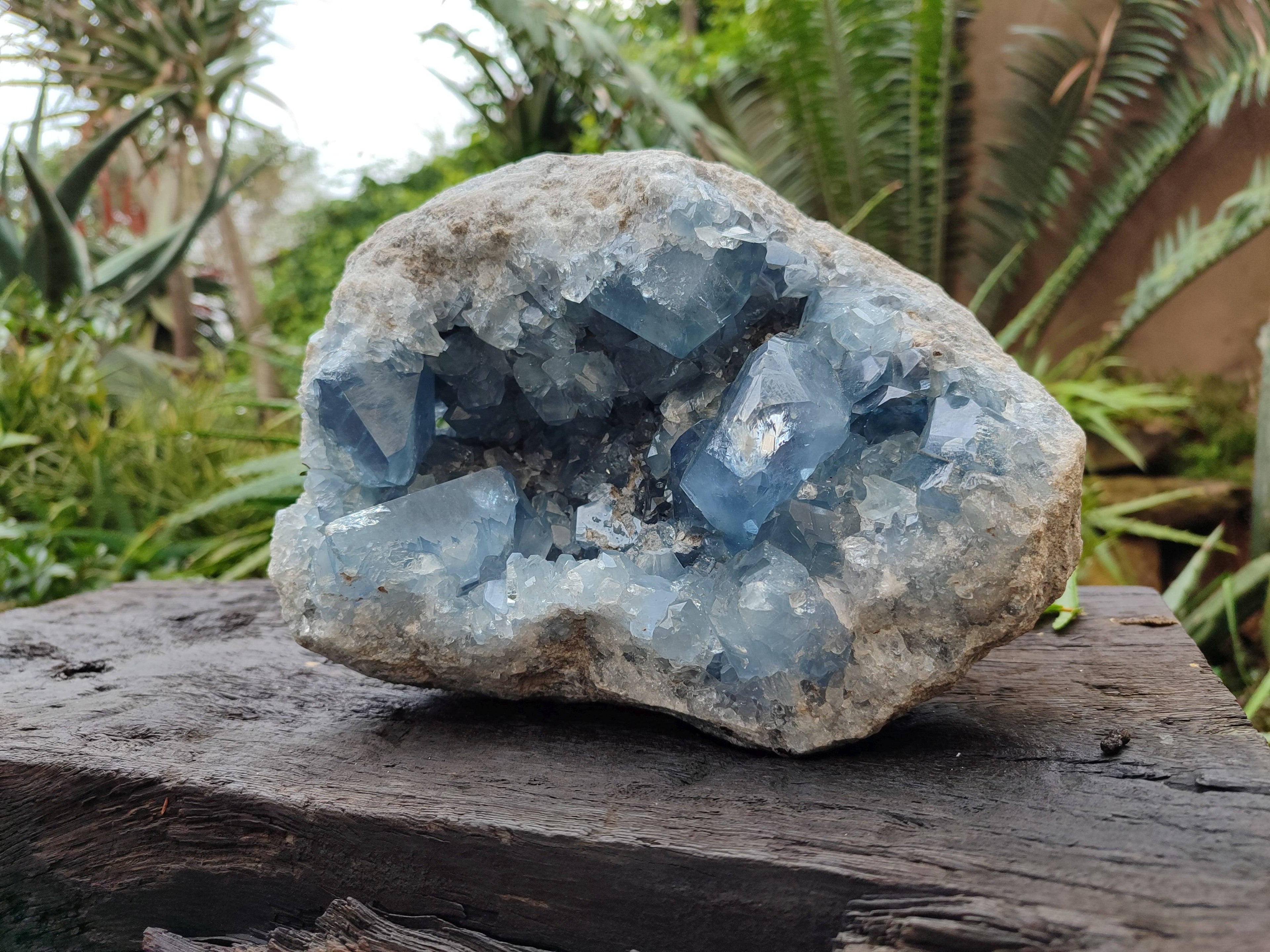 Natura Celestite Geode Specimen x 1 From Sakoany, Madagascar - Toprock Gemstones and Minerals 