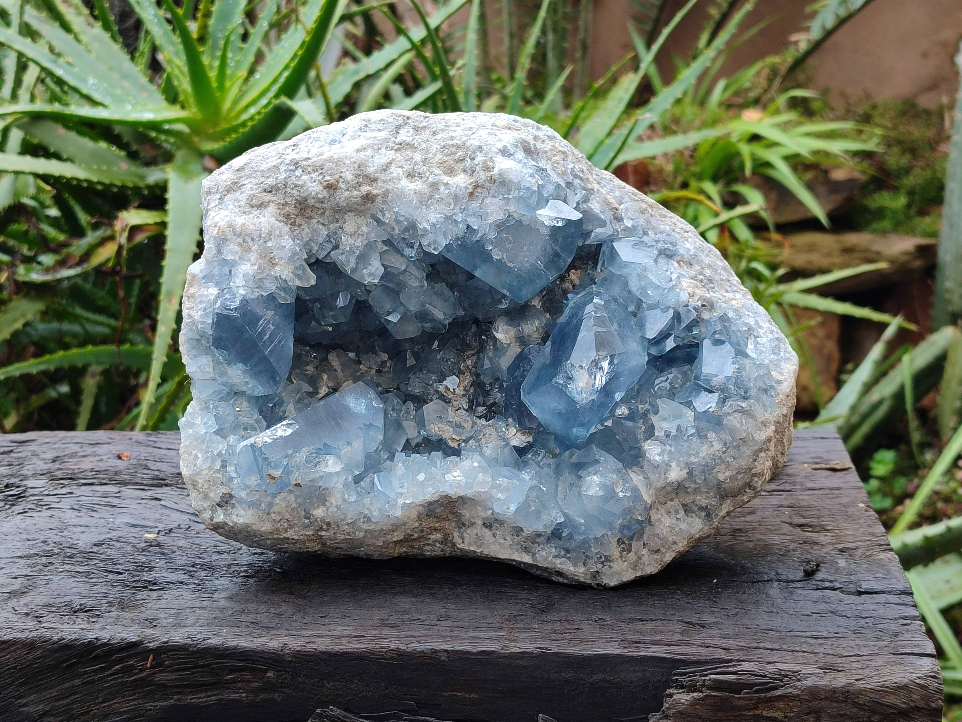Natura Celestite Geode Specimen x 1 From Sakoany, Madagascar - Toprock Gemstones and Minerals 
