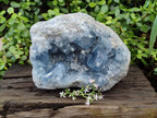 Natura Celestite Geode Specimen x 1 From Sakoany, Madagascar - Toprock Gemstones and Minerals 