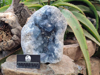 Natura Celestite Geode Specimen x 1 From Sakoany, Madagascar - Toprock Gemstones and Minerals 