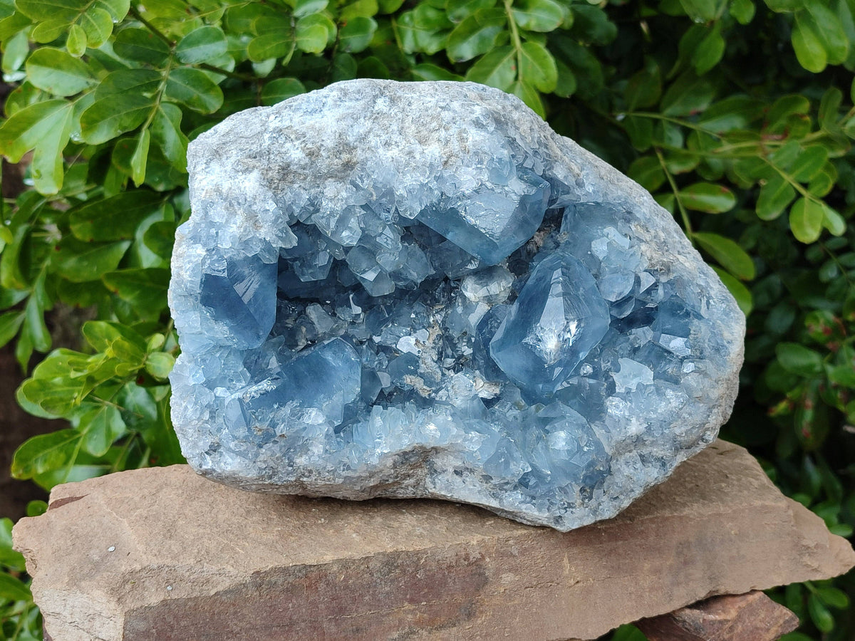 Natura Celestite Geode Specimen x 1 From Sakoany, Madagascar - Toprock Gemstones and Minerals 