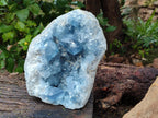 Natura Celestite Geode Specimen x 1 From Sakoany, Madagascar - Toprock Gemstones and Minerals 