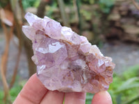 Natural Amethyst Spirit Quartz Specimens x 12 From Boekenhouthoek, South Africa
