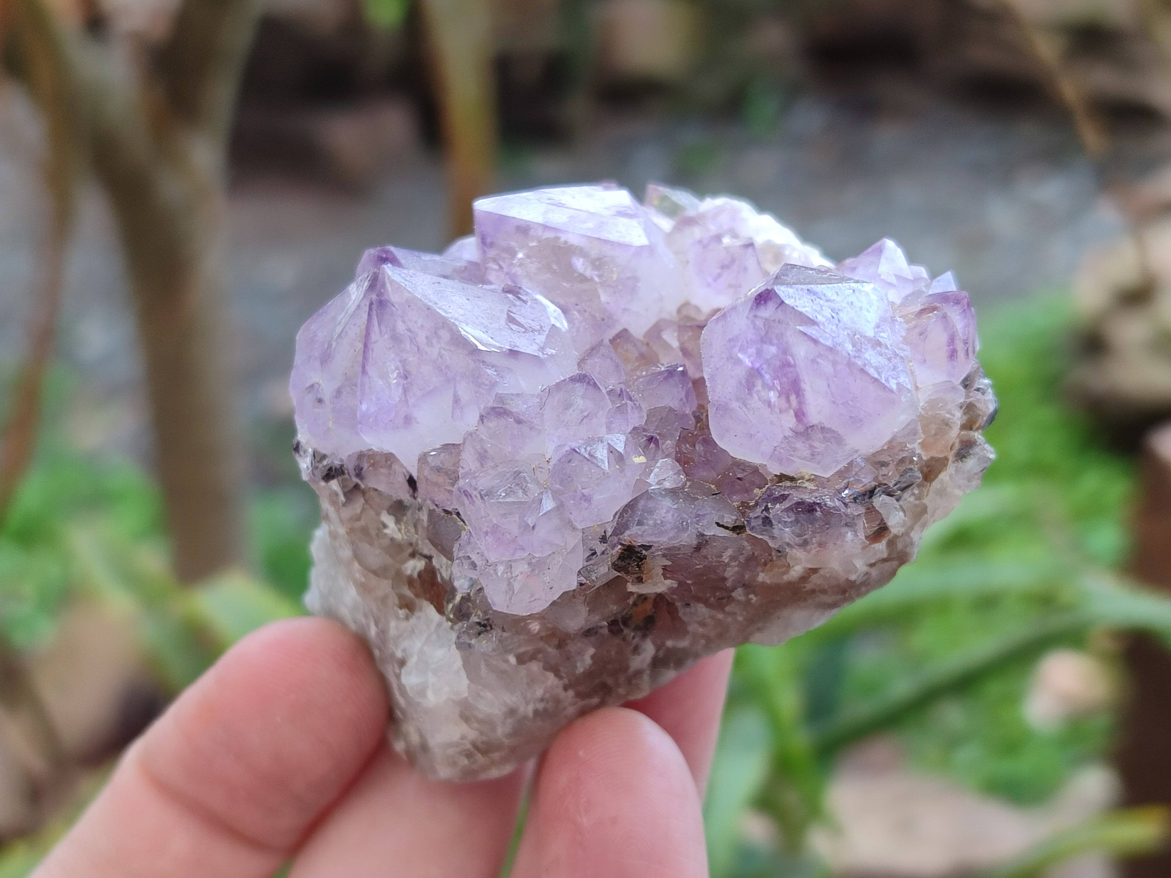 Natural Amethyst Spirit Quartz Specimens x 12 From Boekenhouthoek, South Africa - Toprock Gemstones and Minerals 