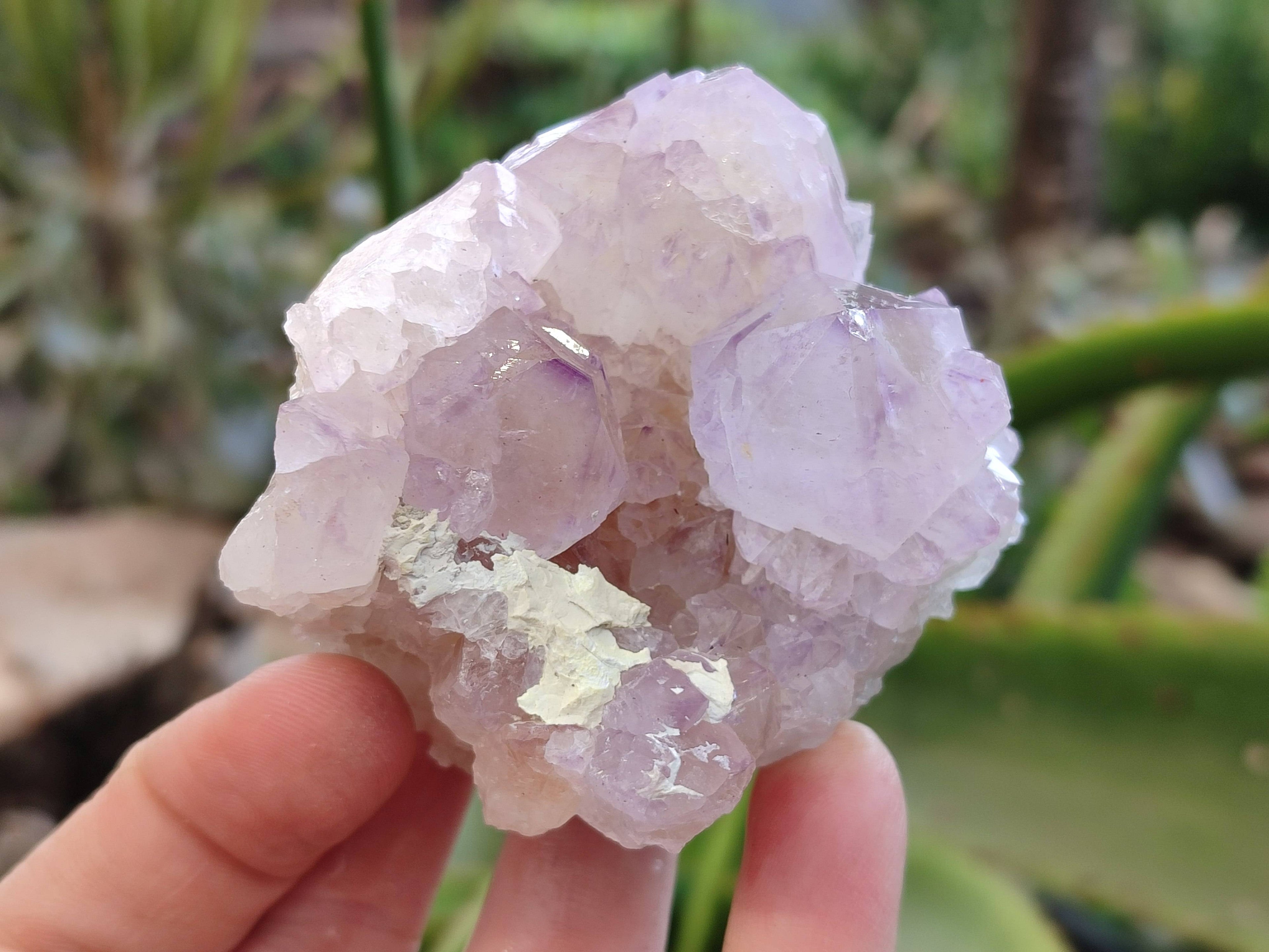 Natural Amethyst Spirit Quartz Specimens x 12 From Boekenhouthoek, South Africa - Toprock Gemstones and Minerals 