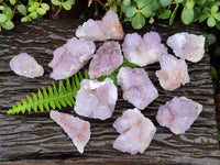 Natural Amethyst Spirit Quartz Specimens x 12 From Boekenhouthoek, South Africa