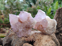 Natural Amethyst Spirit Quartz Specimens x 12 From Boekenhouthoek, South Africa