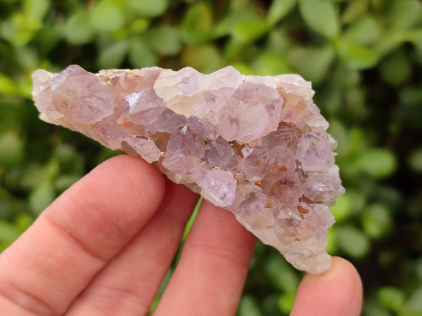 Natural Amethyst Spirit Quartz Specimens x 12 From Boekenhouthoek, South Africa