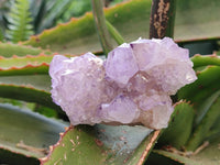 Natural Amethyst Spirit Quartz Specimens x 12 From Boekenhouthoek, South Africa