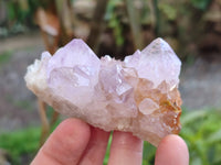 Natural Amethyst Spirit Quartz Specimens x 12 From Boekenhouthoek, South Africa