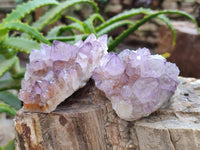 Natural Amethyst Spirit Quartz Specimens x 12 From Boekenhouthoek, South Africa