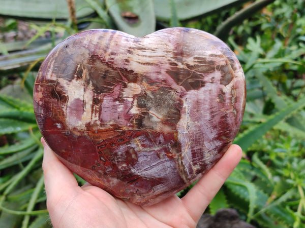 Polished Fossilized Podocarpus Petrified Wood Hearts x 2 From Mahajanga, Madagascar