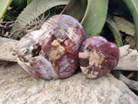 Polished Fossilized Podocarpus Petrified Wood Hearts x 2 From Mahajanga, Madagascar