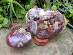 Polished Fossilized Podocarpus Petrified Wood Hearts x 2 From Mahajanga, Madagascar - Toprock Gemstones and Minerals 