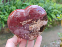 Polished Fossilized Podocarpus Petrified Wood Hearts x 2 From Mahajanga, Madagascar