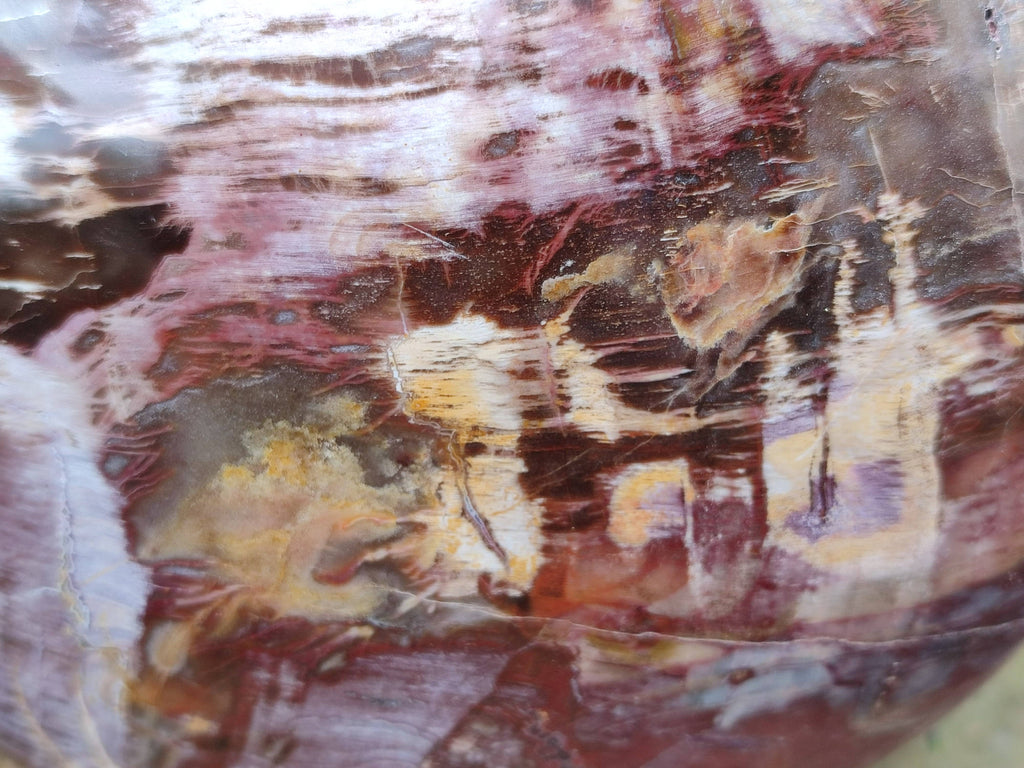 Polished Fossilized Podocarpus Petrified Wood Hearts x 2 From Mahajanga, Madagascar - Toprock Gemstones and Minerals 