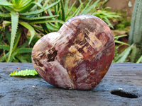 Polished Fossilized Podocarpus Petrified Wood Hearts x 2 From Mahajanga, Madagascar