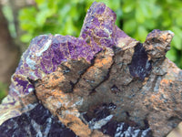 Natural Metallic Purpurite Cobbed Specimens x 2 From Erongo, Namibia