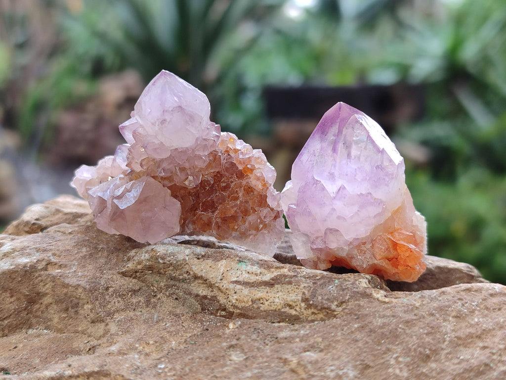 Natural Amethyst Spirit Quartz Specimens x 35 From Boekenhouthoek, South Africa - Toprock Gemstones and Minerals 