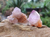 Natural Amethyst Spirit Quartz Specimens x 35 From Boekenhouthoek, South Africa