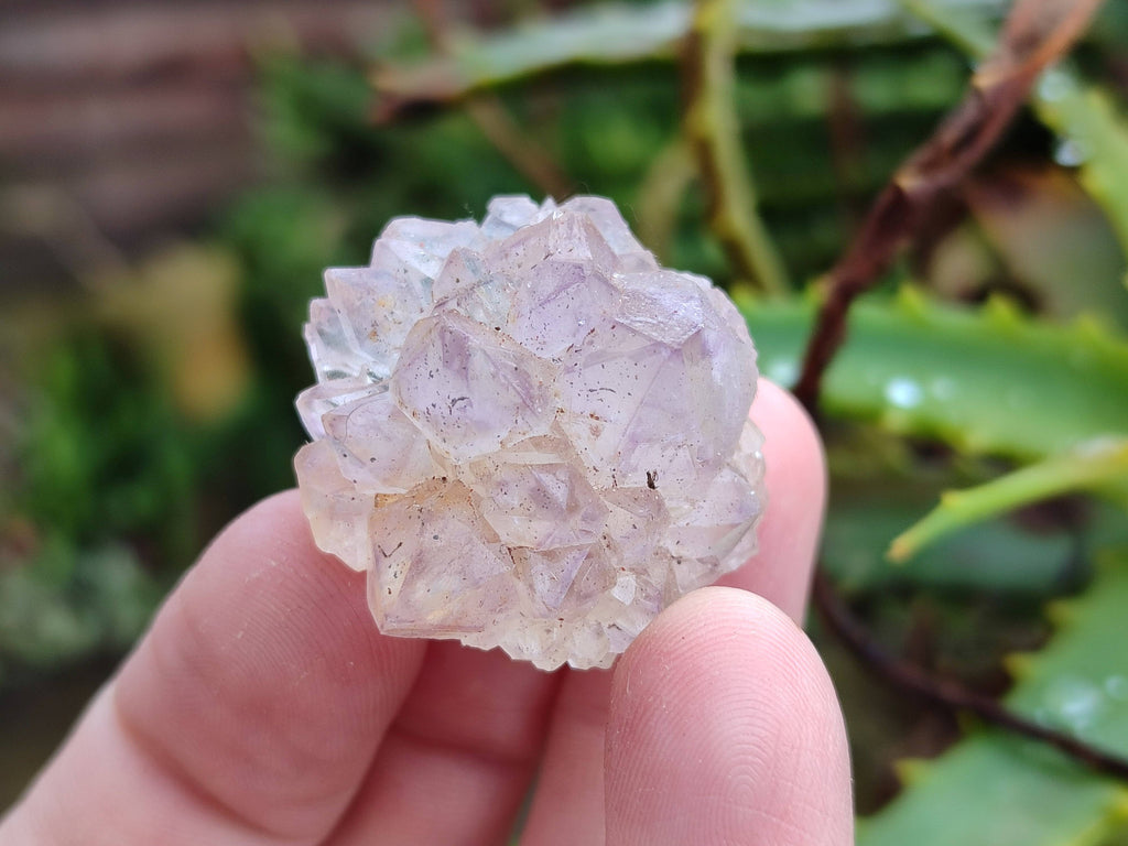 Natural Amethyst Spirit Quartz Specimens x 35 From Boekenhouthoek, South Africa - Toprock Gemstones and Minerals 